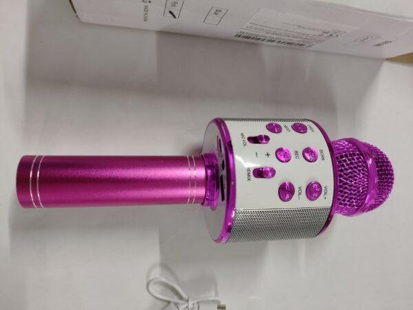 216 Micrófono Wireless con Parlantes HIFI de Color Rosa